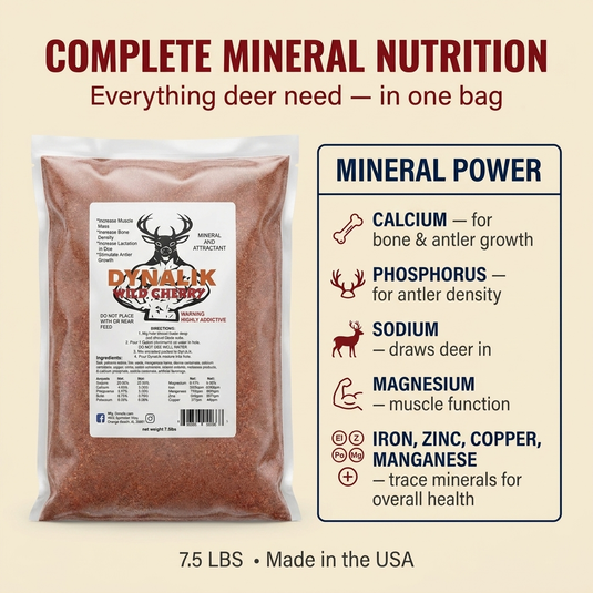 DynaLik Wild Cherry - 1 Pack